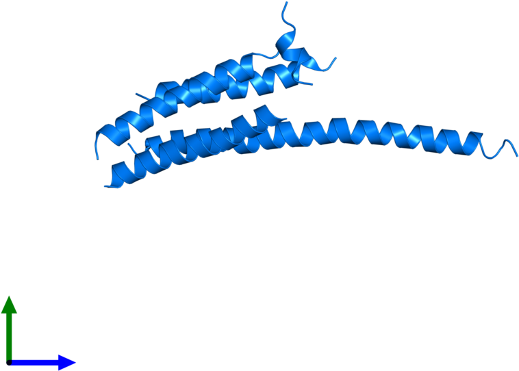 <div Class='caption-body'>pdb Entry 3wkv Contains 1 Clipart (800x800), Png Download