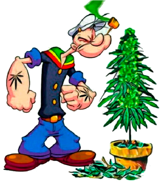 Popeye Pot - Pinky And The Brain Stoned Clipart (600x600), Png Download
