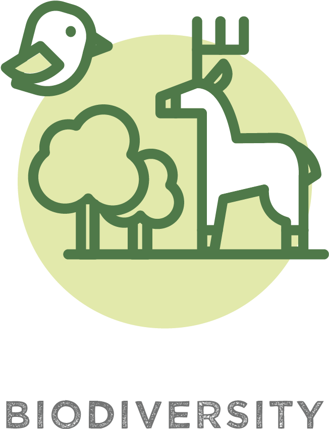 Plant Trees For Biodiversity - Nyu Clipart (651x863), Png Download