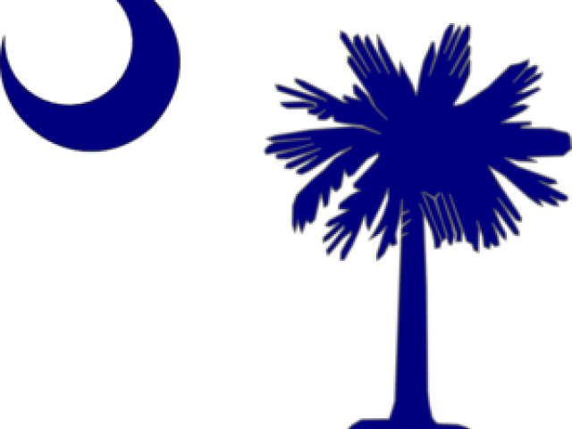 Sc Cliparts - Palmetto Tree And Crescent Moon - Png Download (640x480), Png Download