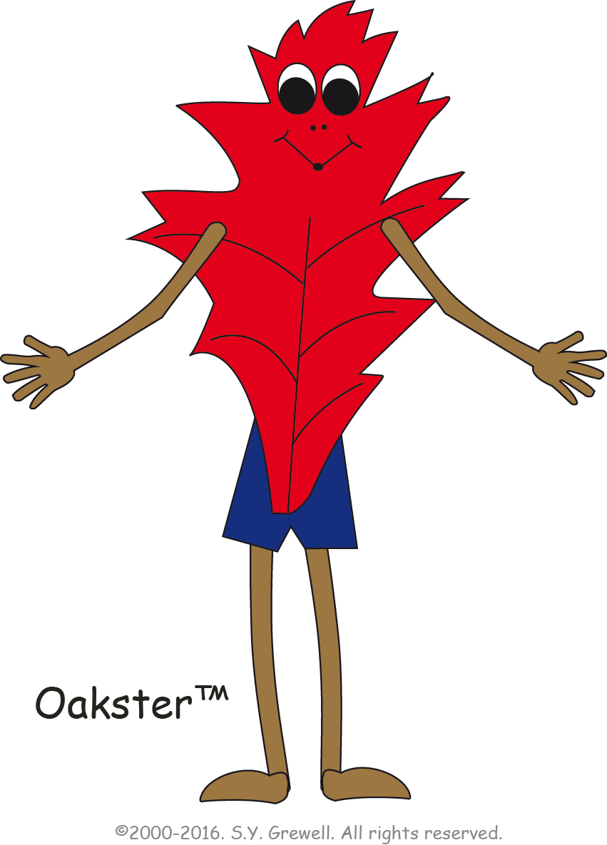 The Oak Leaf - Illustration Clipart (851x1185), Png Download