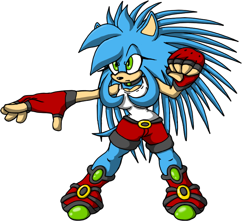 Clarity *jacketless* - Purity The Hedgehog Team Clipart (850x780), Png Download