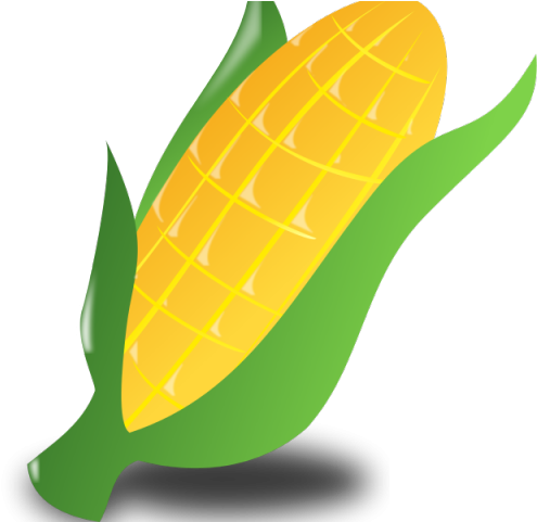 Korn Clipart Corn Boil - Clip Art - Png Download (640x480), Png Download