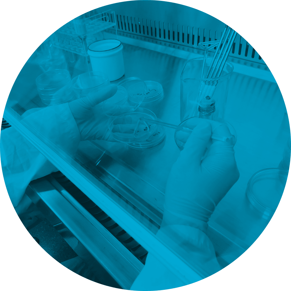 Architecture Clipart (1002x1002), Png Download