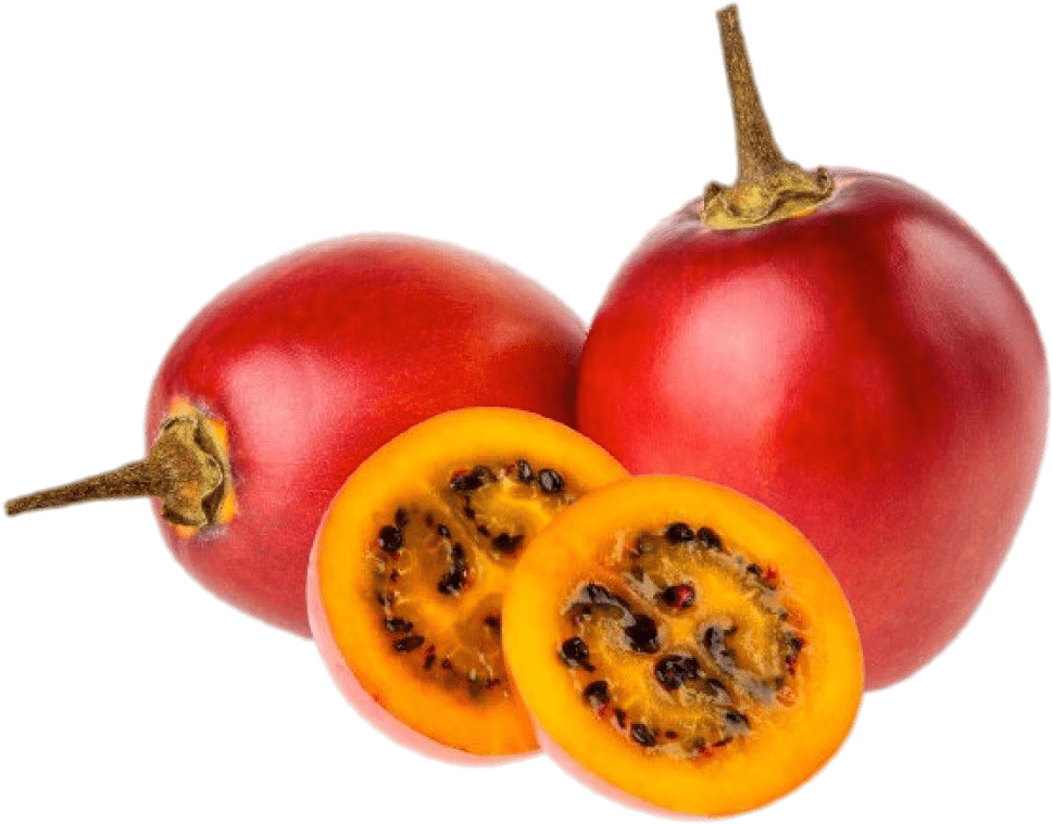 Tamarillo Tree Tomato - Tamarillo Red Clipart (1200x800), Png Download