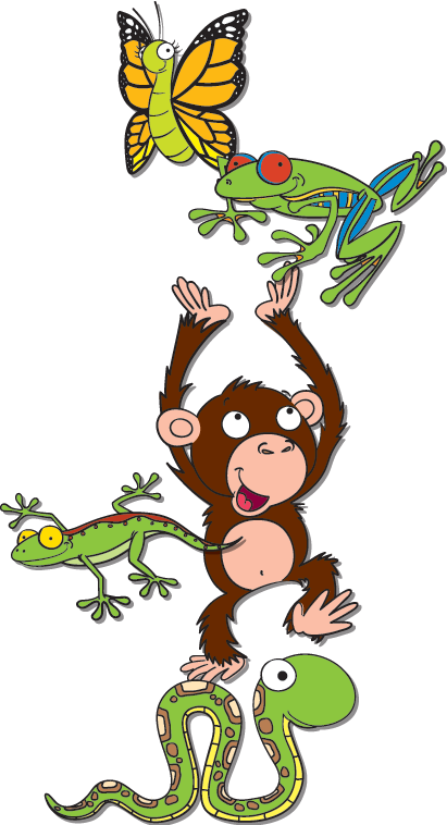 Rainforest Critters - Cartoon Clipart (411x758), Png Download