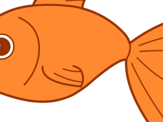 Gold Fish Clipart School Snack - Orange Fish Clip Art - Png Download (640x480), Png Download