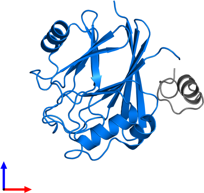 <div Class='caption-body'>pdb Entry 5gtu Contains 1 - Illustration Clipart (800x800), Png Download