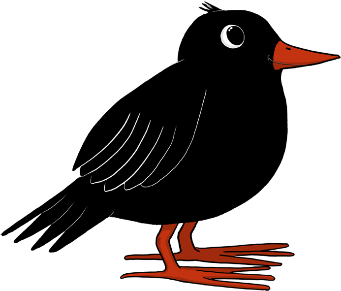 Bertie Blackbird - Old World Flycatcher Clipart (743x660), Png Download
