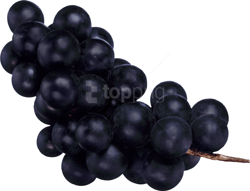 Free Png Download Black Grapes Png Images Background - Темный Виноград Png Clipart (850x650), Png Download