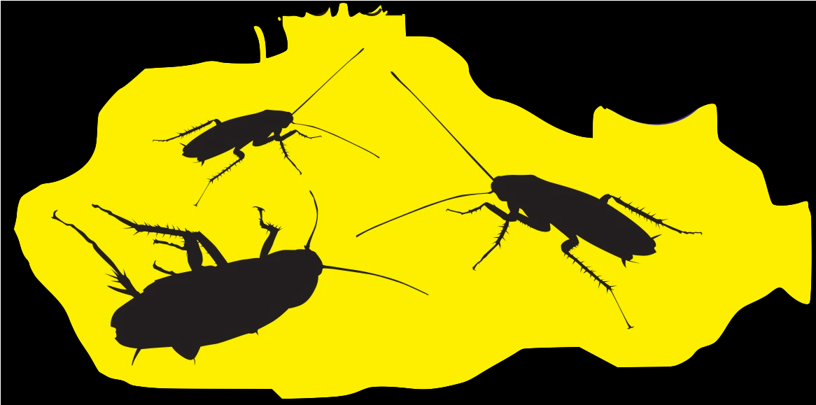 Cucarachas - Illustration Clipart (1280x800), Png Download