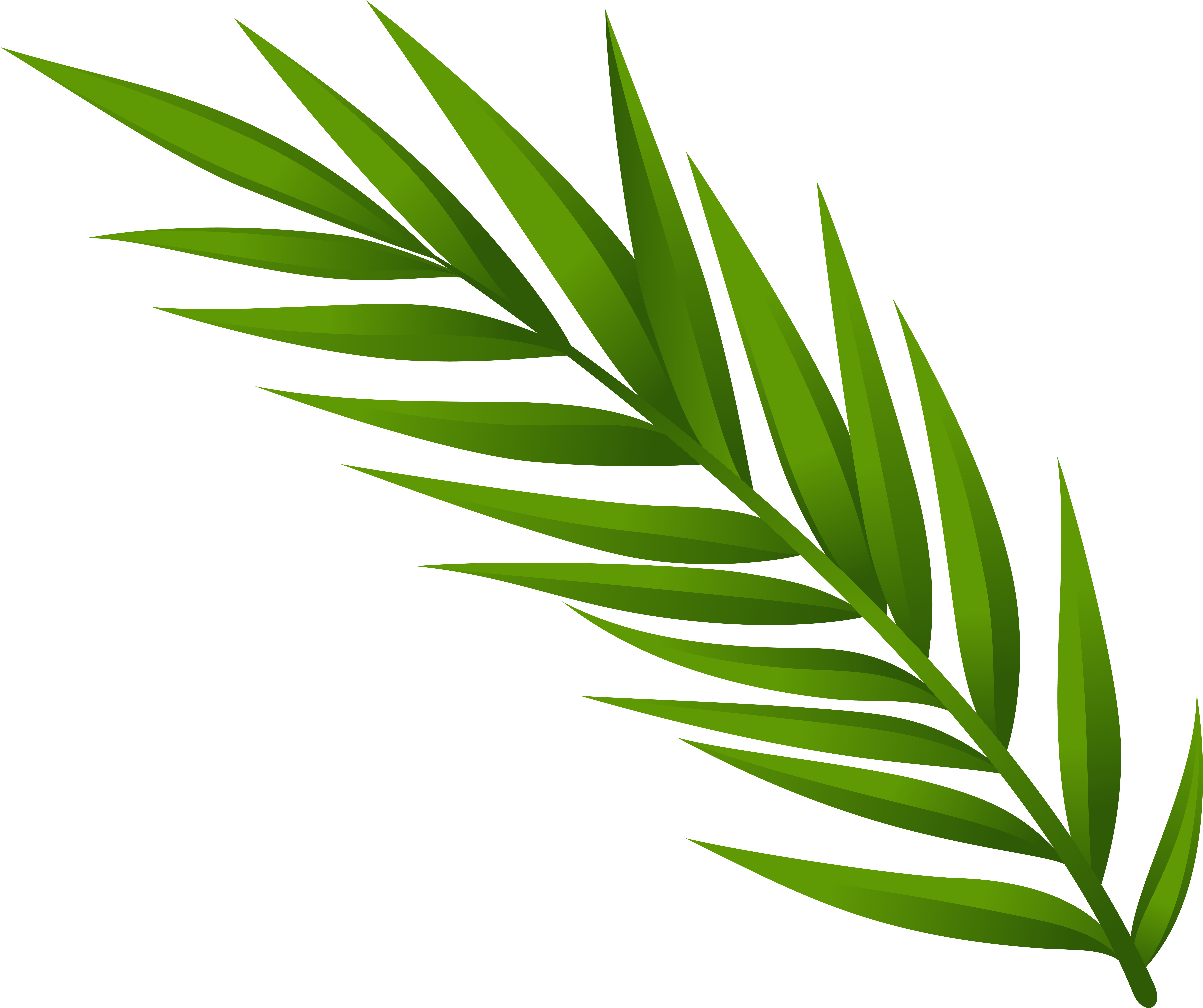 Clipart Of Herb, Leaf In And Leaf From - Png Download (8000x6702), Png Download