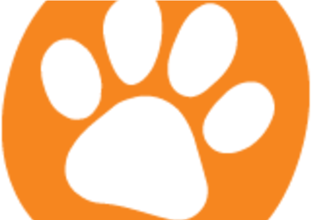 Circle Clipart (800x450), Png Download