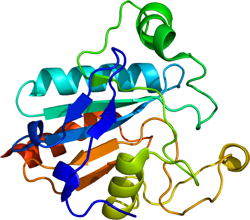 Protein Gpx2 Pdb 2he3 - Glutathione Peroxidase Structure Clipart (867x769), Png Download