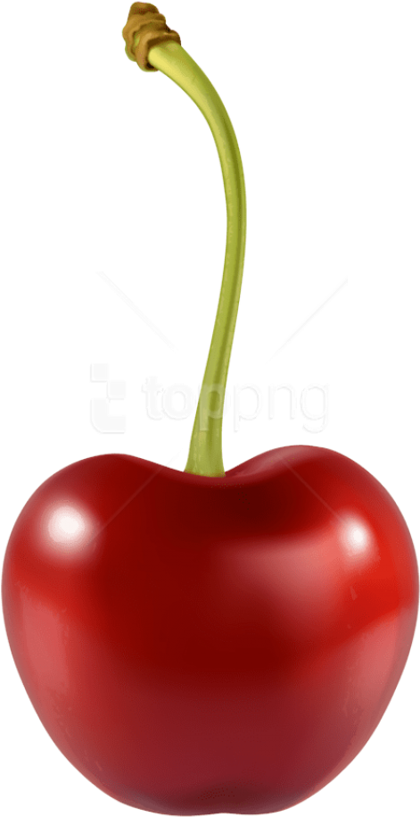 Free Png Download Cherry Clipart Png Photo Png Images - Cherry Clipart Png Transparent Png (480x934), Png Download