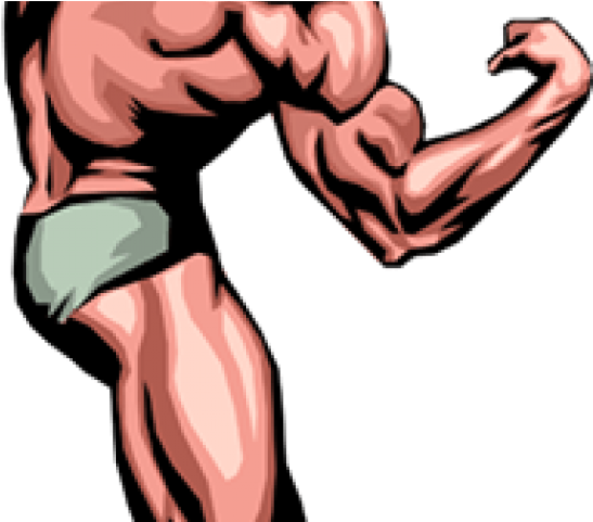 Chest Clipart Muscular Body - Muscle Man Clip Art - Png Download (640x480), Png Download