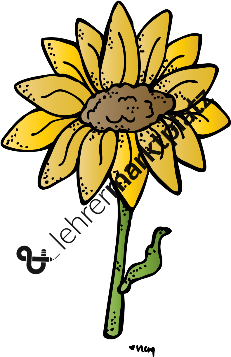 ‹ › - Biology Clipart (800x1217), Png Download