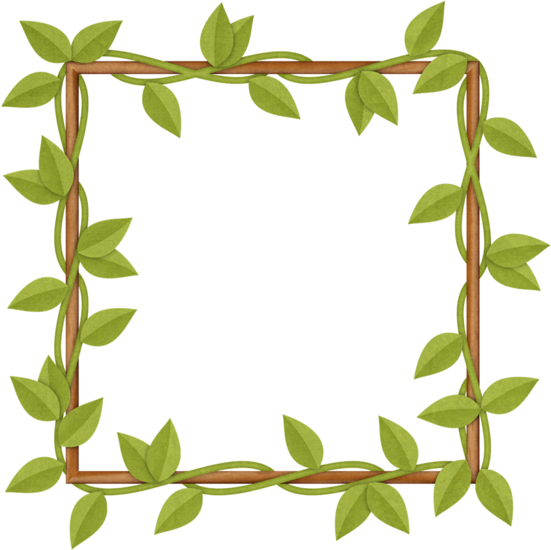 0 1522cb 643d93af Orig - Vine Frame Png Clipart (800x800), Png Download