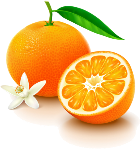 Clip Art - Orange Vitamin C Png Transparent Png (600x548), Png Download