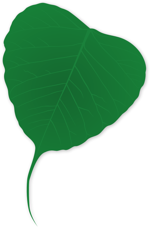 Ginko Leaf - Clip Art - Png Download (523x800), Png Download