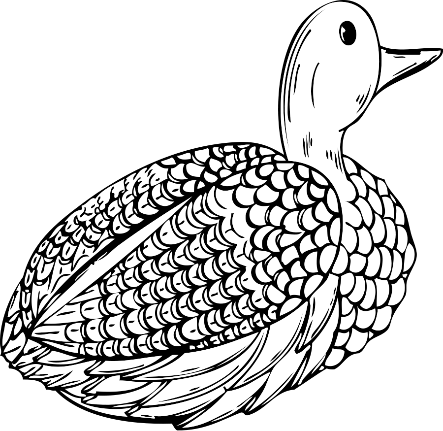 Animals, Birds, Duck, Decoy, Animal, Bird, Tool, Wings - Duck Clipart (640x623), Png Download