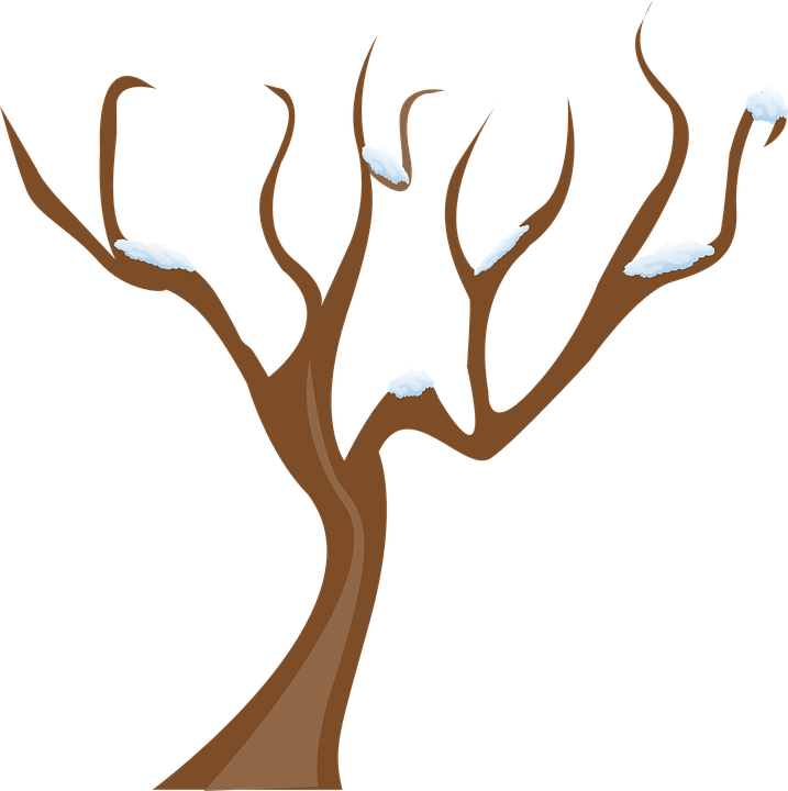 Zima Tree Clipart, Winter Clipart, Winter Sports, Winter - Clip Art Tree Without Leaves - Png Download (638x640), Png Download
