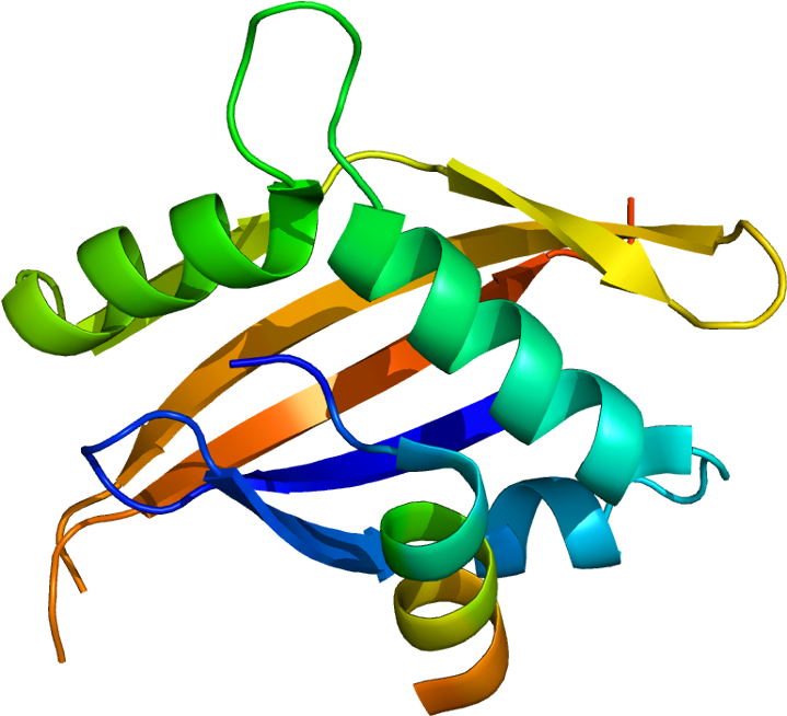 Coactivator Protein Clipart (768x703), Png Download
