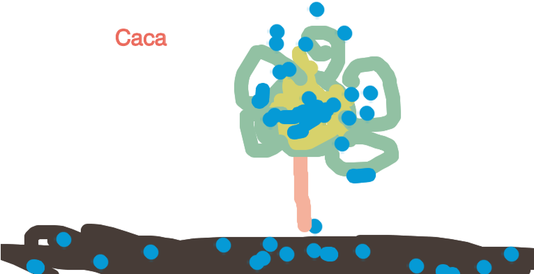 January 30, 2015 - Illustration Clipart (765x445), Png Download