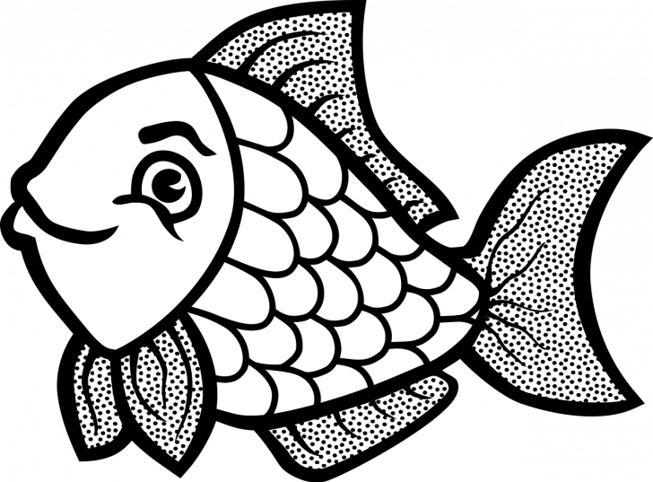 Clip Art Colourful Fish - Png Download (728x537), Png Download
