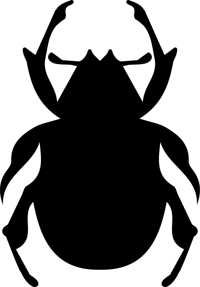 Png File Svg - Beetle Clipart (684x980), Png Download