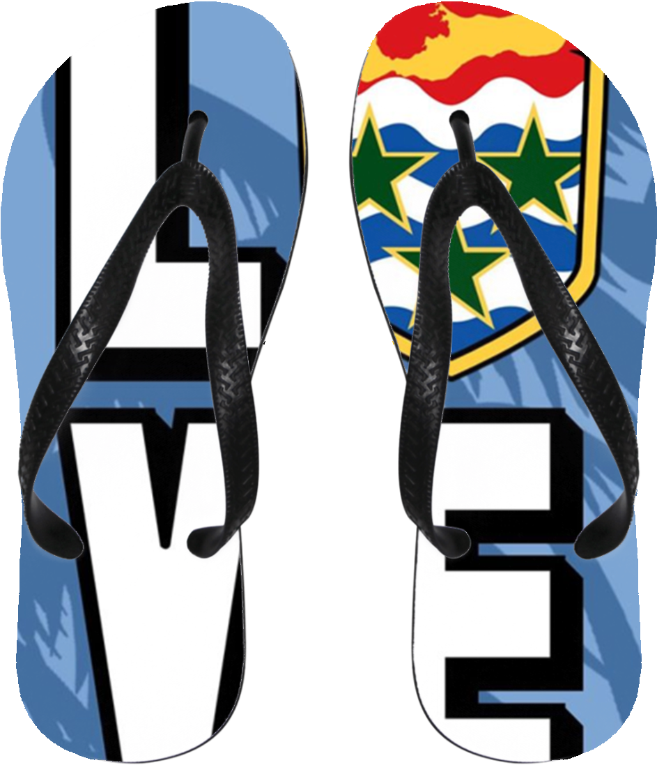 Snowshoe Clipart Png Download Full Size Clipart (3904877) PinClipart