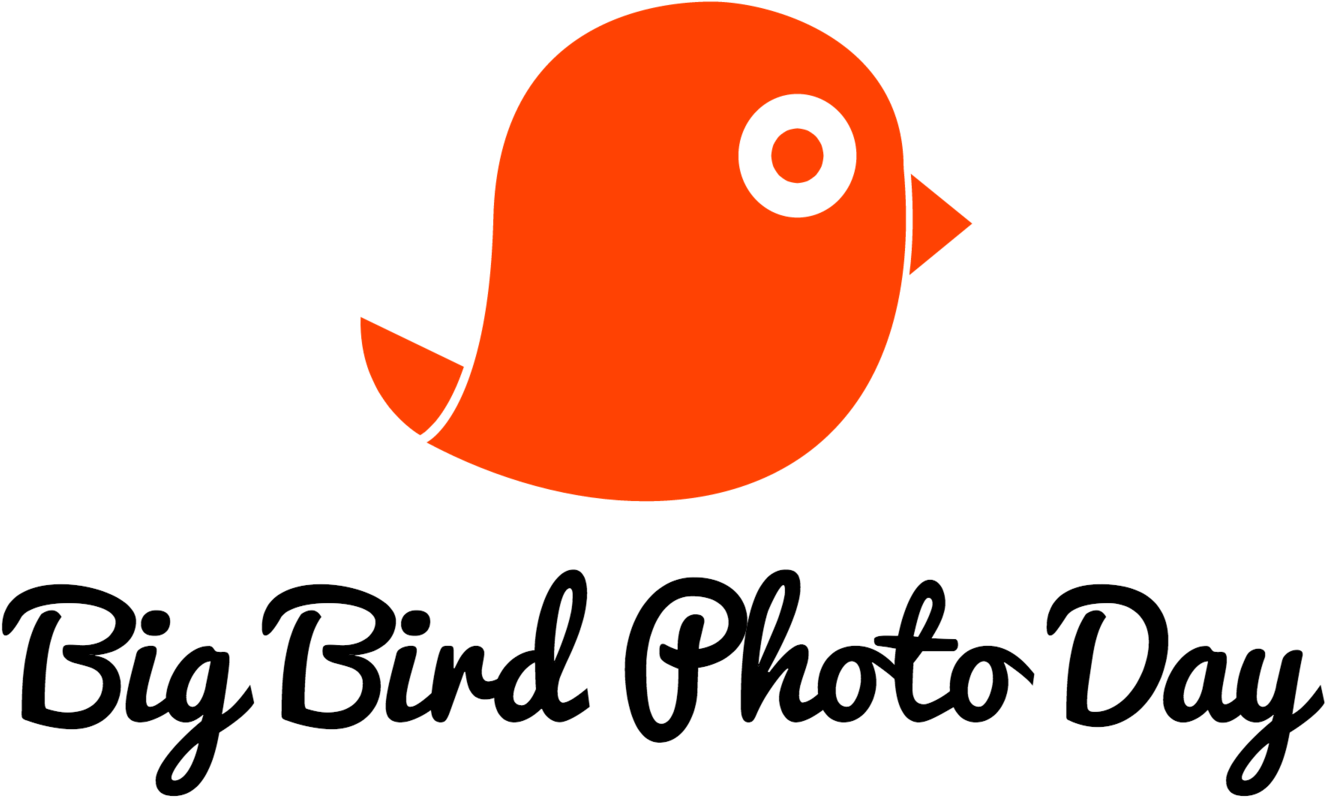 Announcing The Clipart (1500x998), Png Download