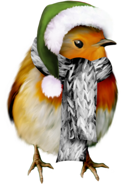 Robin In Winter Clip Art - Png Download (673x800), Png Download