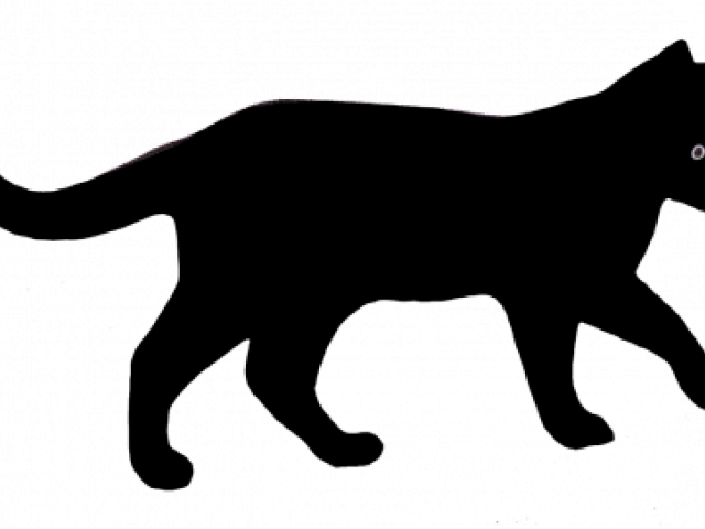 Black Cat Clipart Spooky Black - Clipart Black And White Cats - Png Download (640x480), Png Download