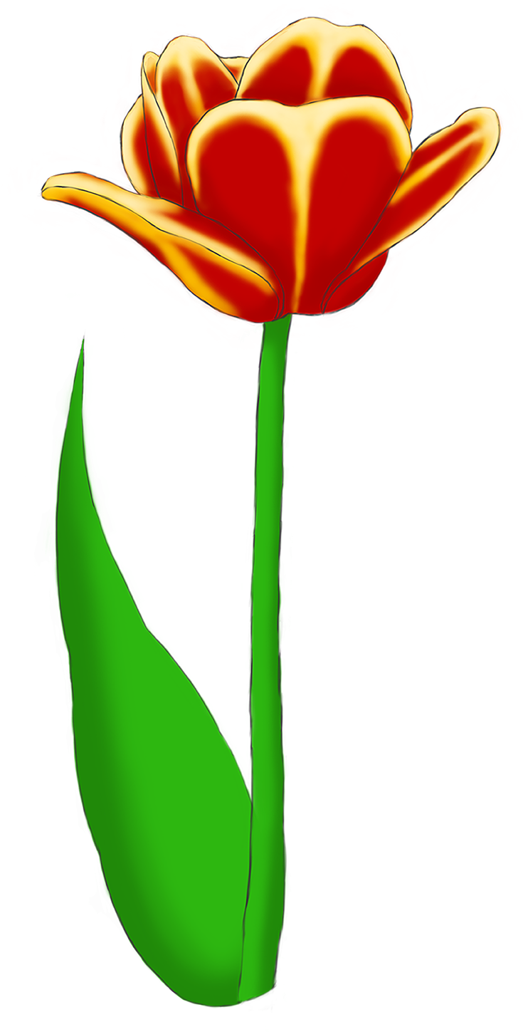 Tulip Bouquet Example Image - Lady Tulip Clipart (907x1500), Png Download