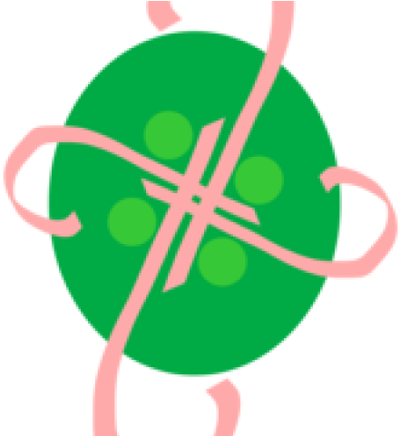 Download Now Button Clipart Artwork - Png Download (640x480), Png Download