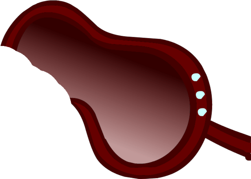 Image Diva Sunglasses 2013png Club Penguin Wiki The Clipart (1061x754), Png Download