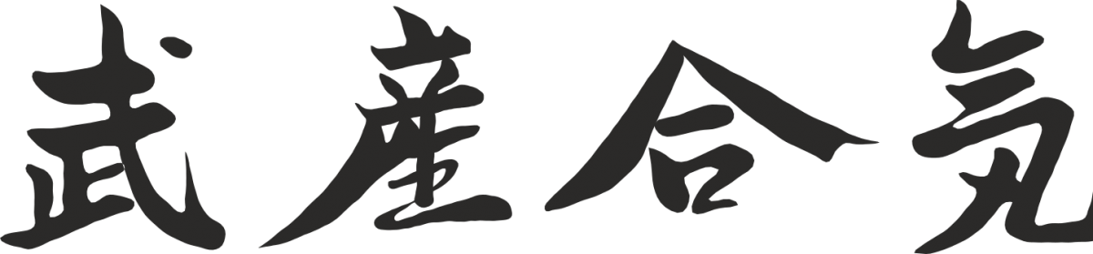 Traditional Aikido - Takemusu Aikido Clipart (1200x279), Png Download