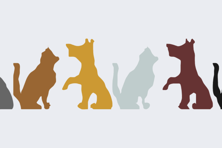 Picture2-750x500 - Happy Veterinary Nurse Day Clipart (750x500), Png Download