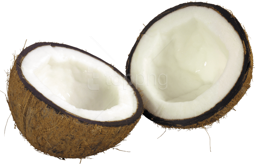 Free Png Download Coconut Png Images Background Png - Coconut Png Clipart (850x548), Png Download