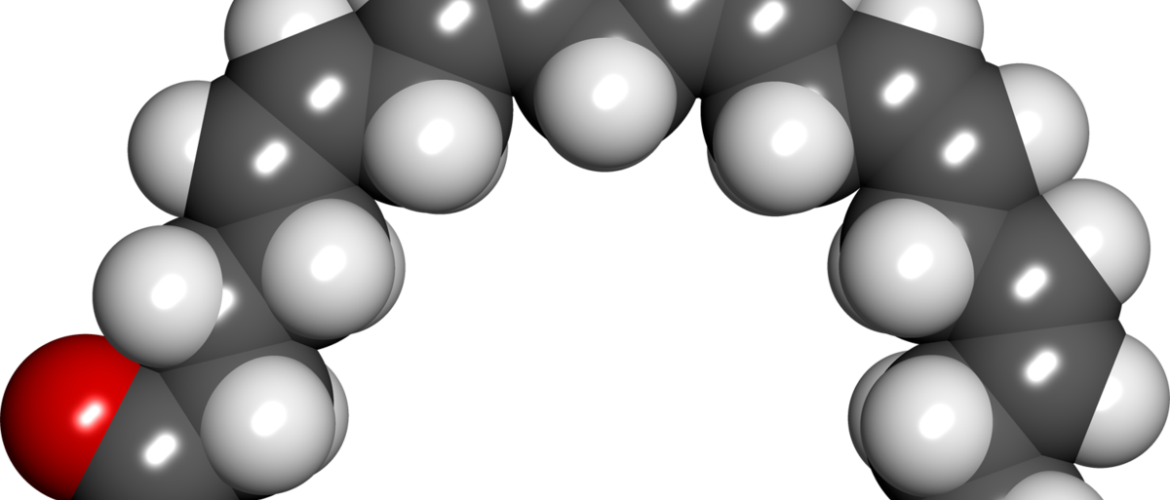 Peer Review History Clipart (1170x500), Png Download