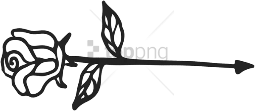 Free Png Calligraphy Arrow Line Png Image With Transparent - Rose As An Arrow Clipart (850x373), Png Download