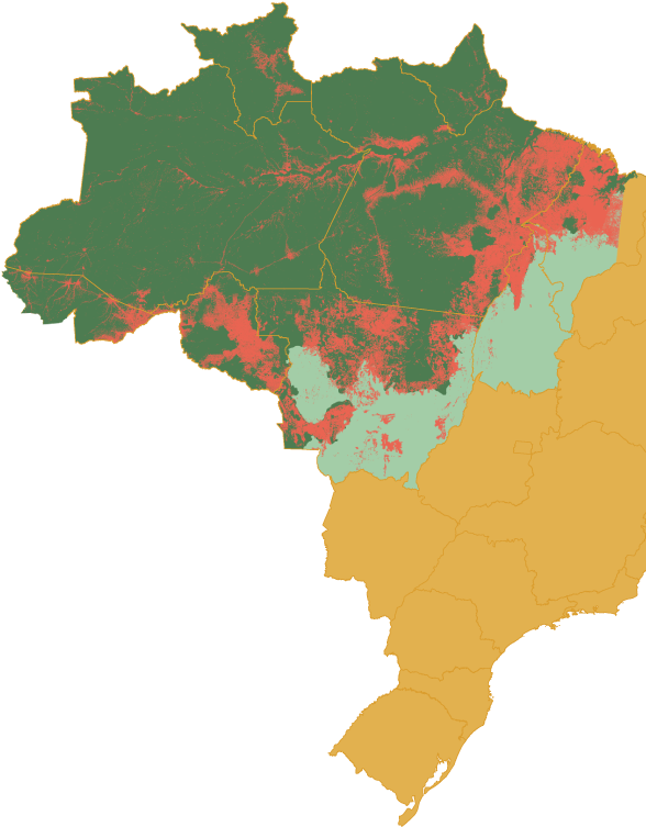 Amazon Biome - Brazil Clipart (600x837), Png Download