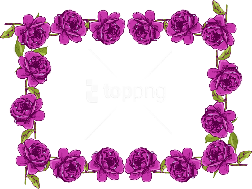 Free Png Purple Border Frame Png - Rose Flower Border Design Clipart (850x638), Png Download