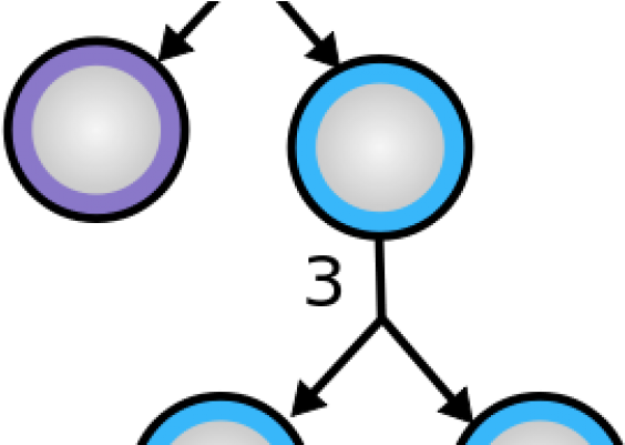 The Procedure Clipart (800x400), Png Download