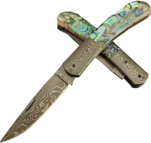 Vector Library Library For Free Download On Mbtskoudsalg Clipart (592x592), Png Download