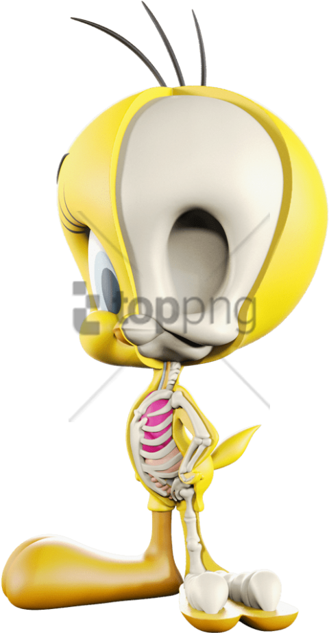 Free Png Download Tweety Bird Png Images Background - Cartoon Clipart (480x922), Png Download