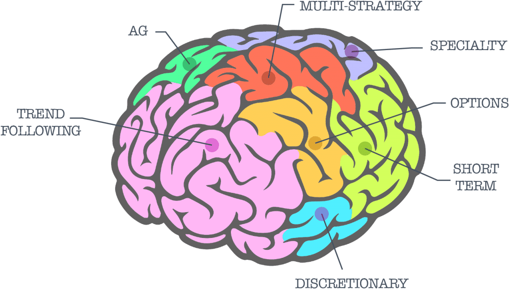 Managed Futures Brain - Brain Icon Transparent Background Clipart (1024x591), Png Download