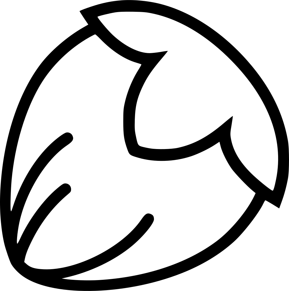 Png File Svg - Hazelnut Icon Png Clipart (980x986), Png Download