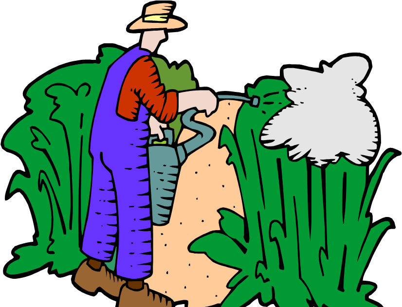 Plant Parts And Functions Clipart (852x630), Png Download
